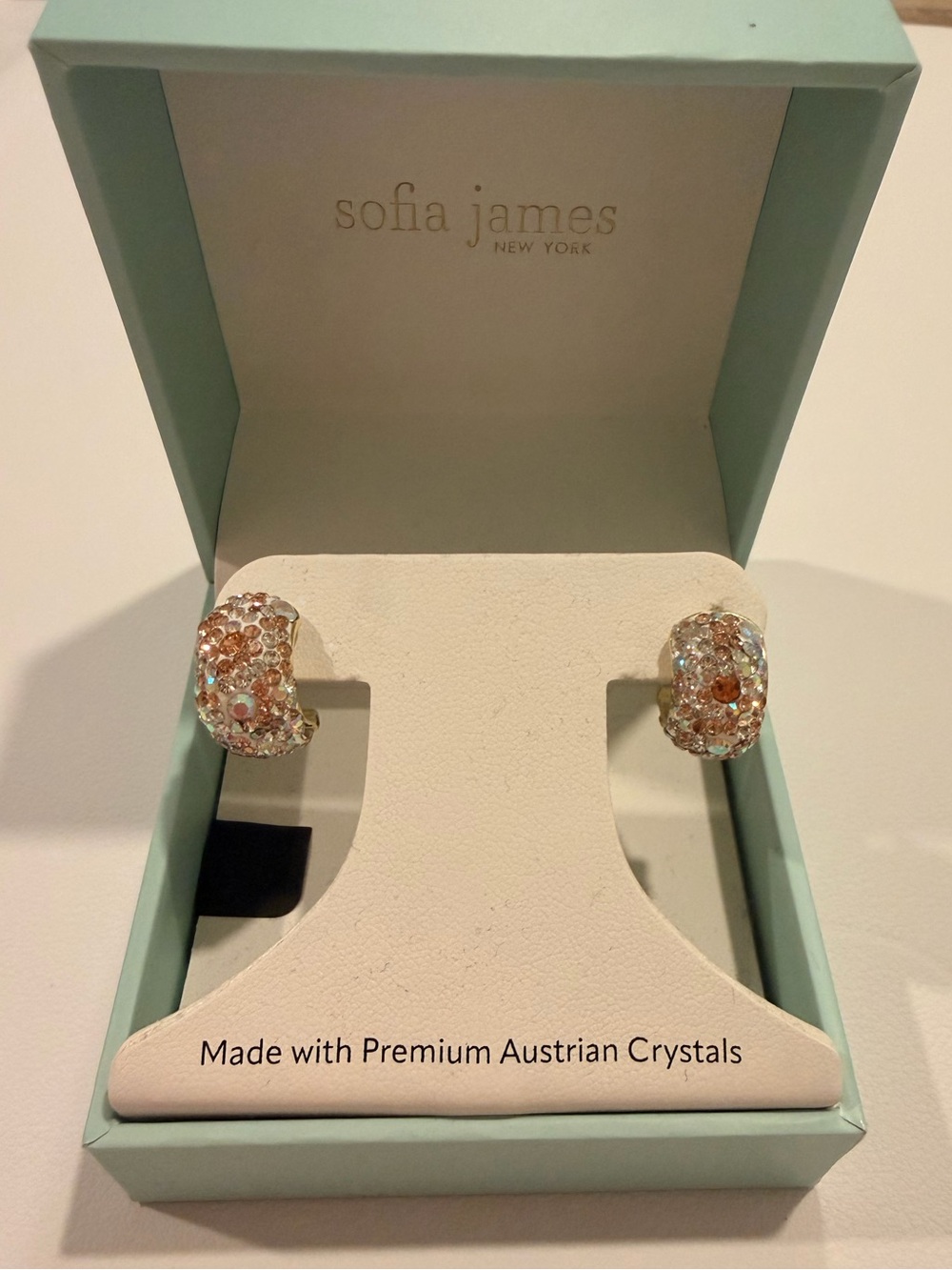 Rose Gold Crystal Hoop Earrings - Picture 1 of 6